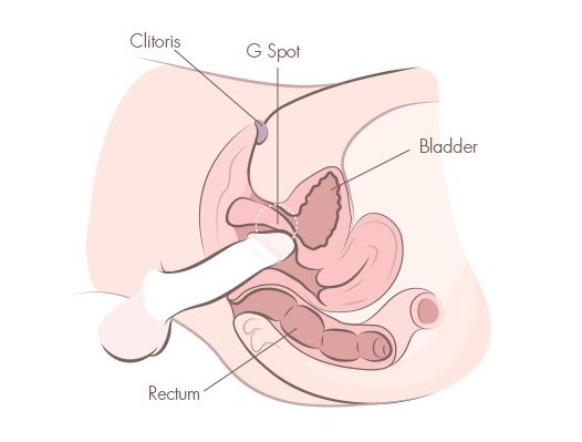       G   