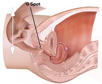   G-spot