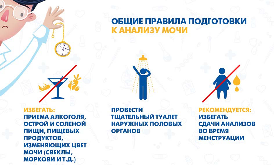 Правила сбора мочи на биохимический тест