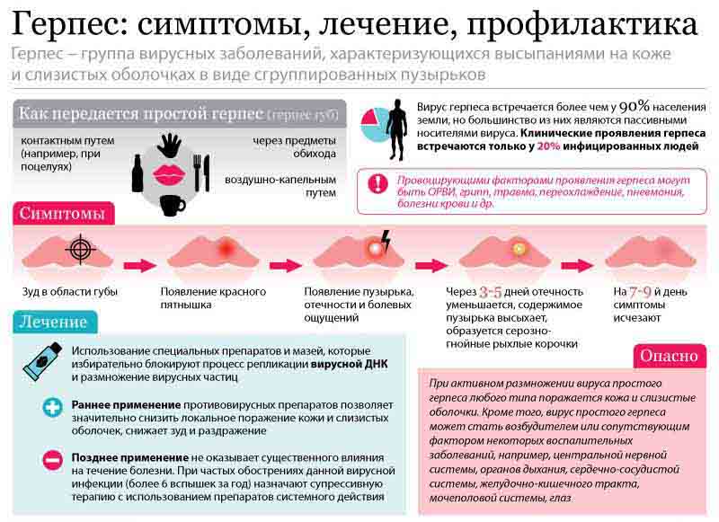 Схема, как передается вирус герпеса у людей