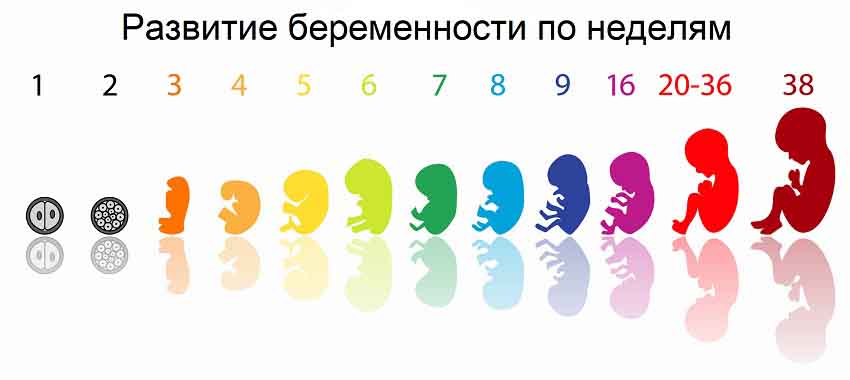    1  38 