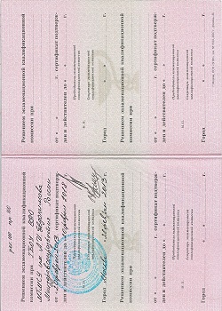      2013 