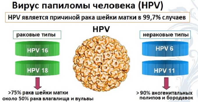 Типы впч